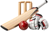 Cricket