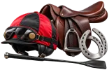 Horse Racing